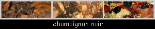 lien recette champignon noir